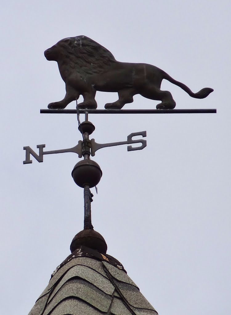 Lion weathervane