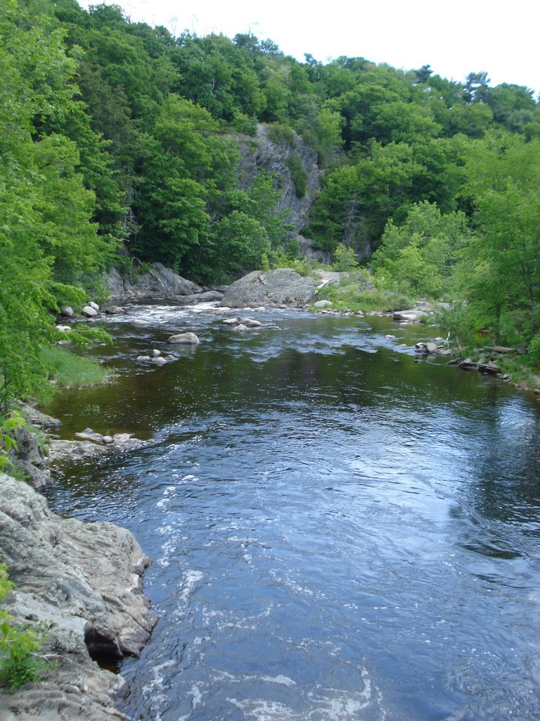 Kenduskeag Gorge