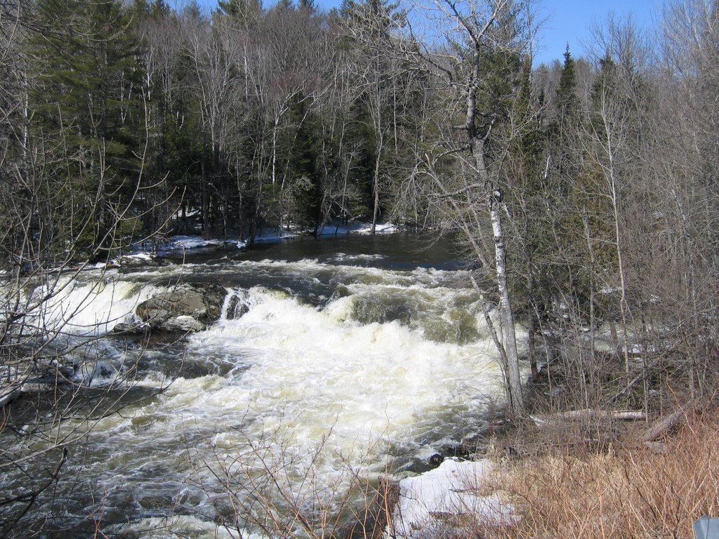 Souadabscook Stream Falls