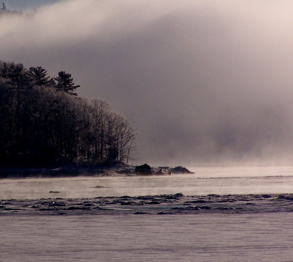 Cove Jan 08