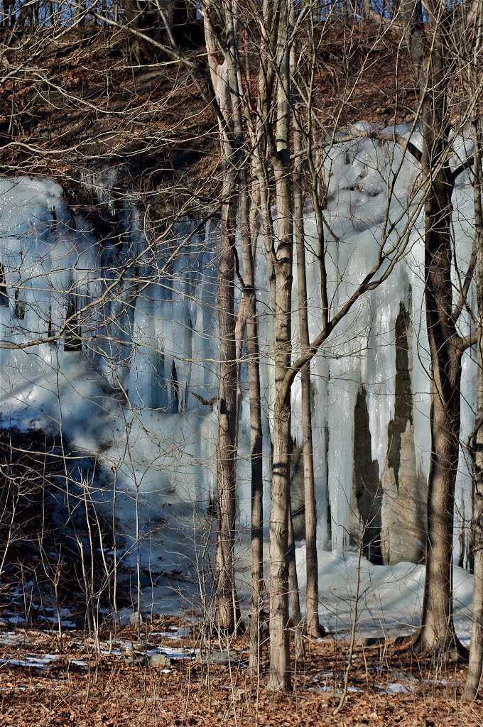 Bangor Ice