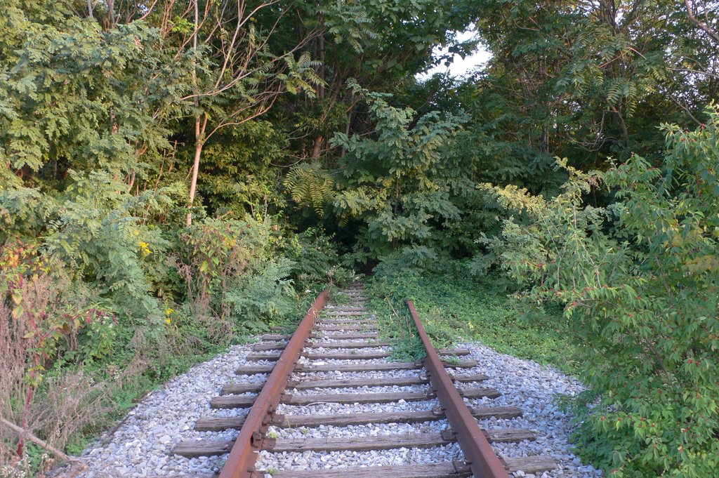 Railroad, Frederick MD
