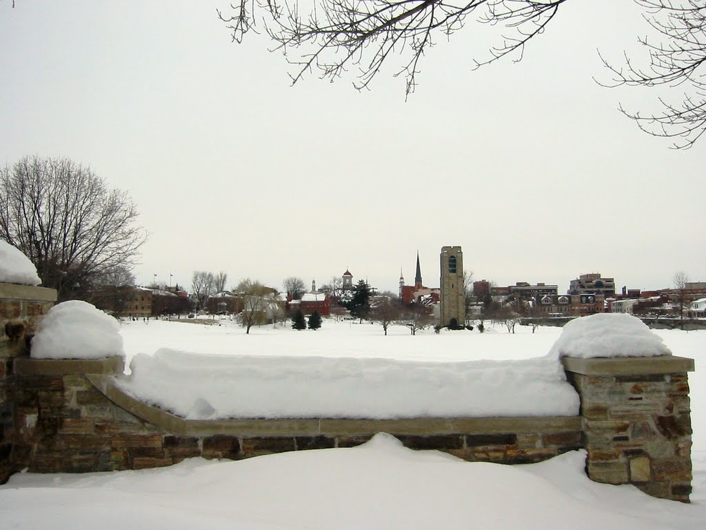 Clustered Spires across Baker Park