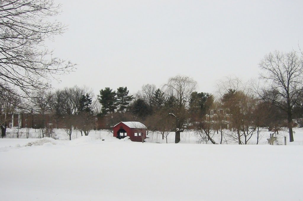 Covered Bridge on Carroll Creek