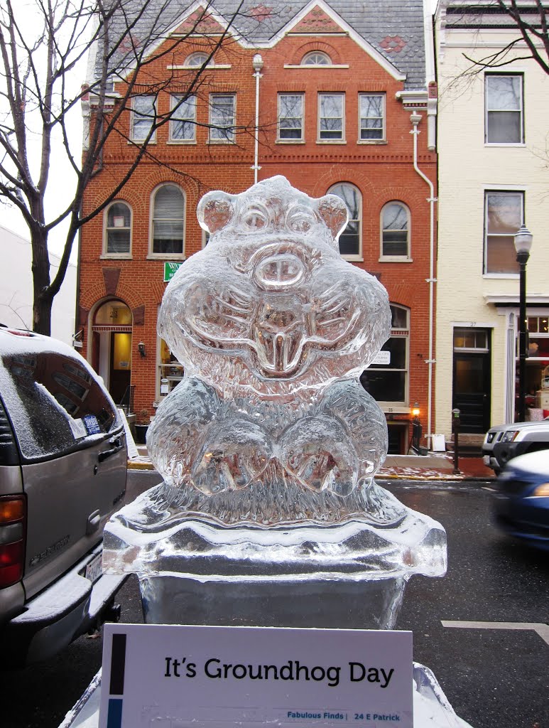 Happy Groundhog