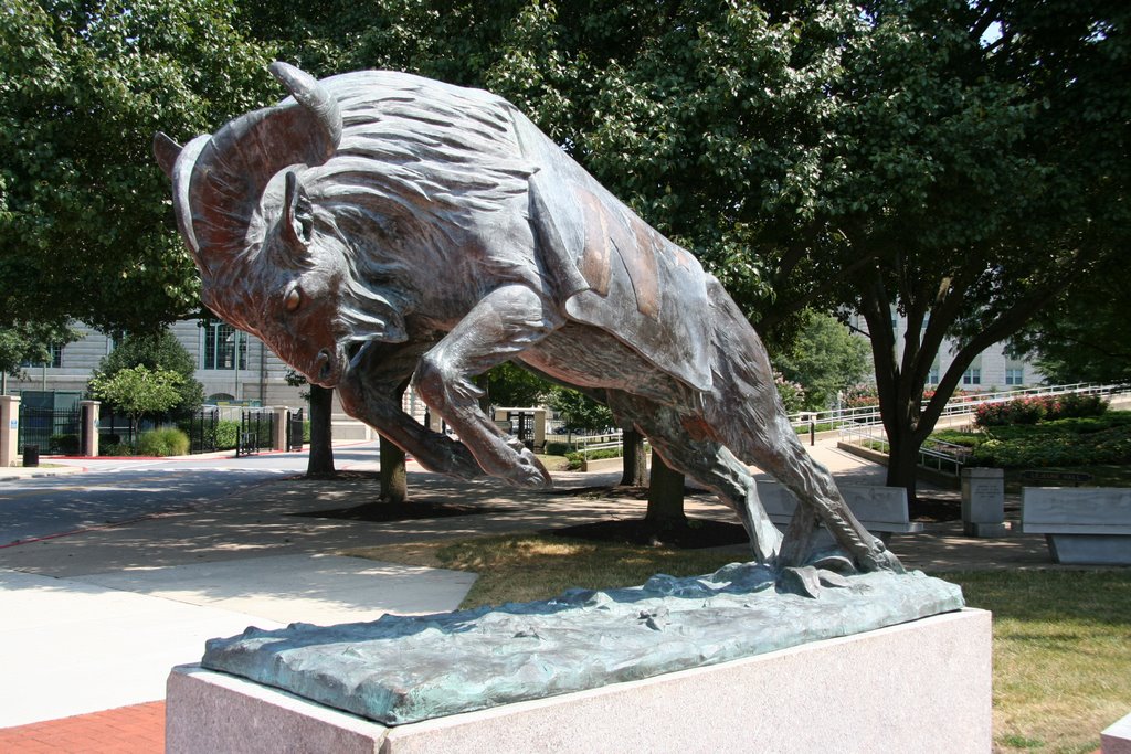 Bill the Goat - USNA Mascot