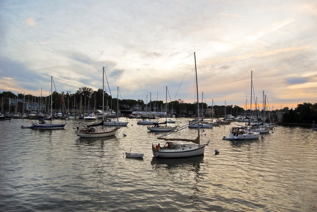 Dusk in Annapolis Yacht Club