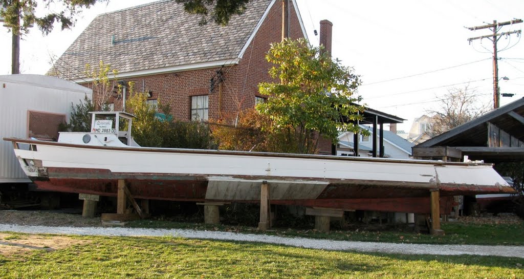 Chesapeake Bay "Draketail"