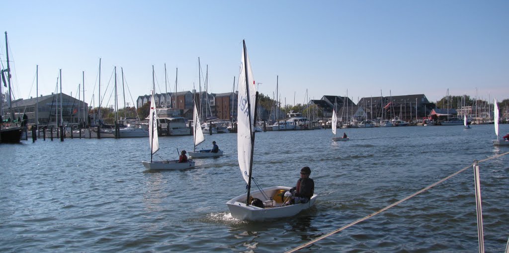 Spa Creek Sortie of the Dinghy Fleet