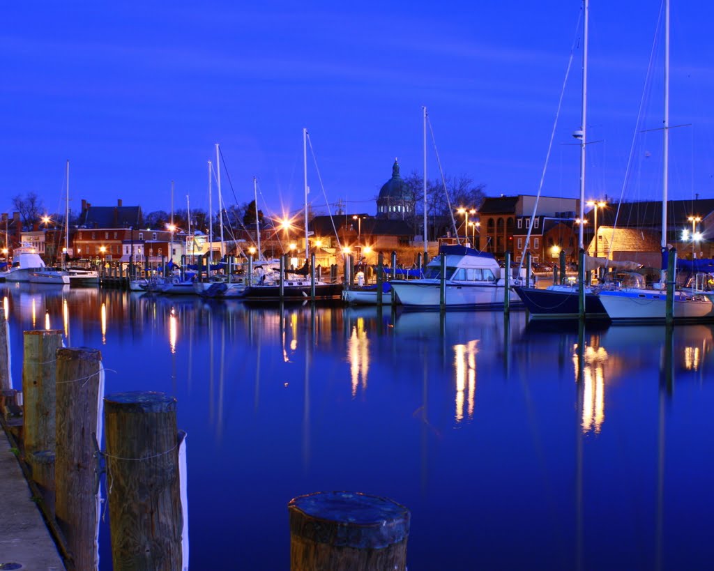 Annapolis Harbor at Dawn
