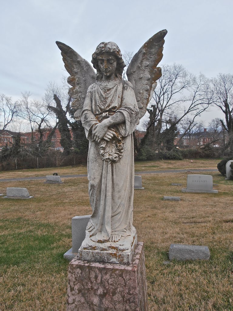 Angel