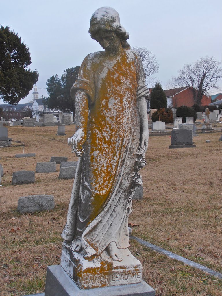 Angel #3
