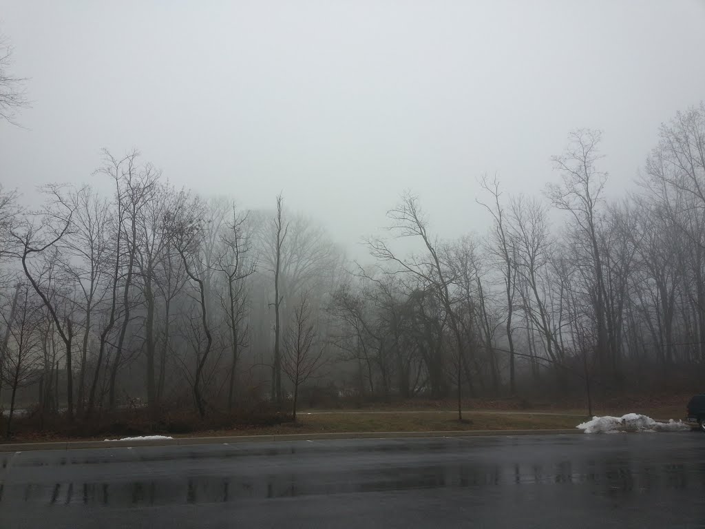 Rainy parking lot
