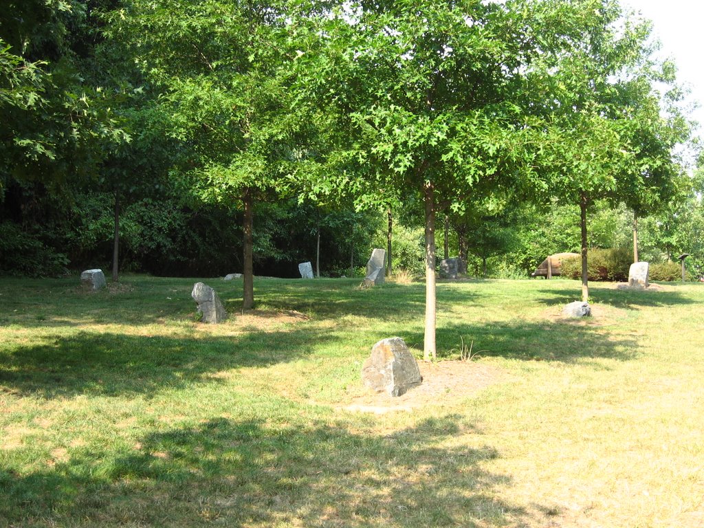 Rock Garden
