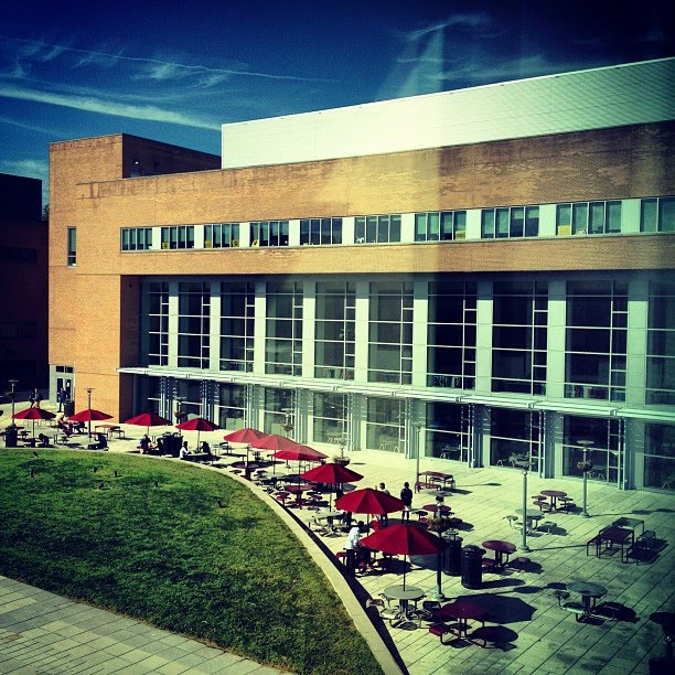 The Commons