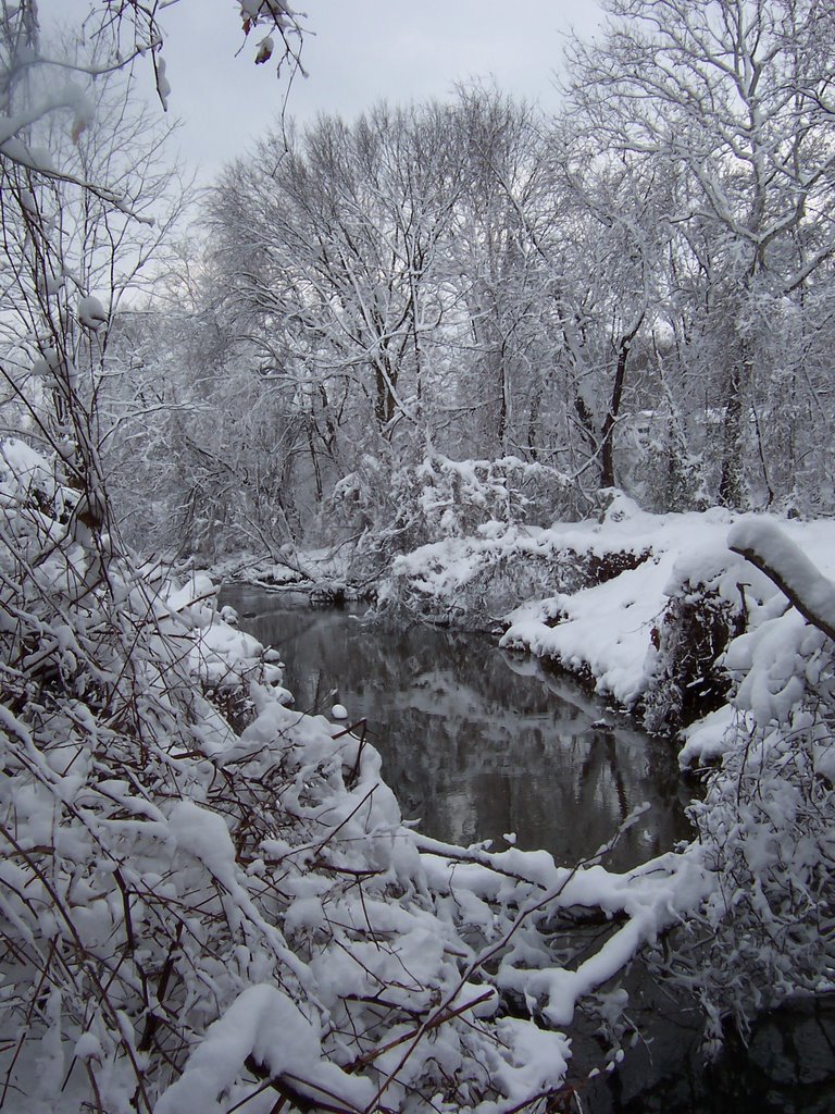 Snow on Herberts Run