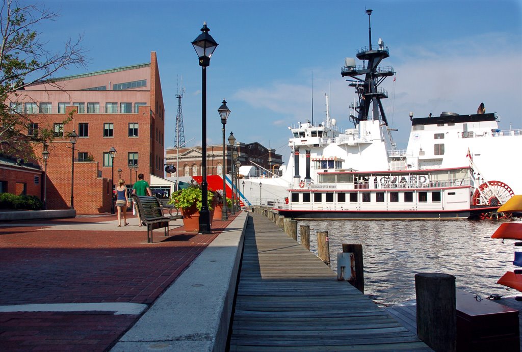 USA - MD - Baltimore. Fells point and the Black eyed susan