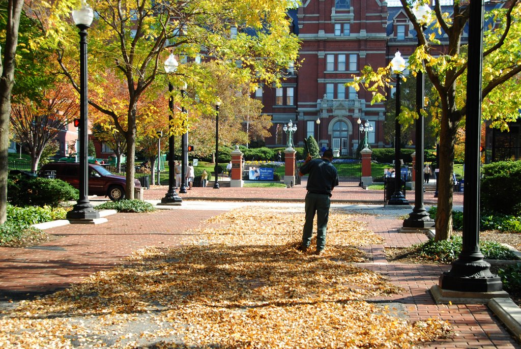 Cleaning Autumn Leaves, Johns Hopkins Hospital