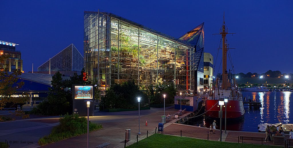 Baltimore Inner Harbor:  National Aquarium, Atrium