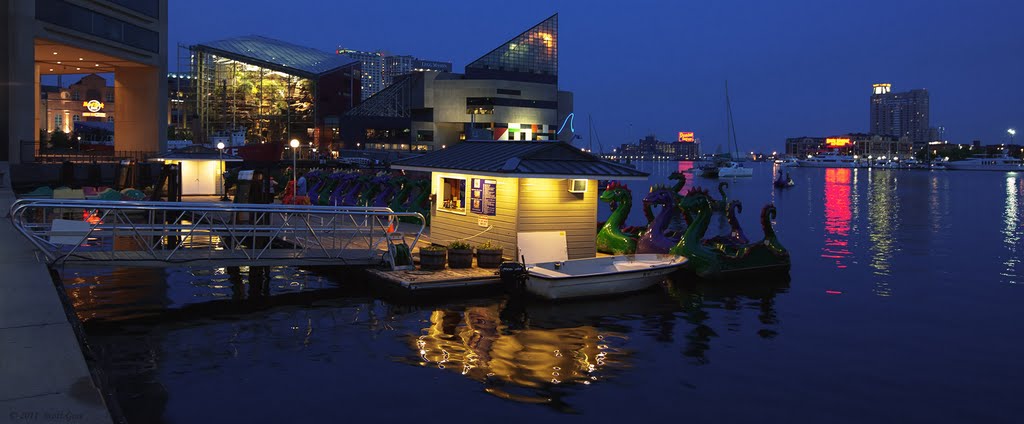 Baltimore Inner Harbor:  Paddle Boat Rentals