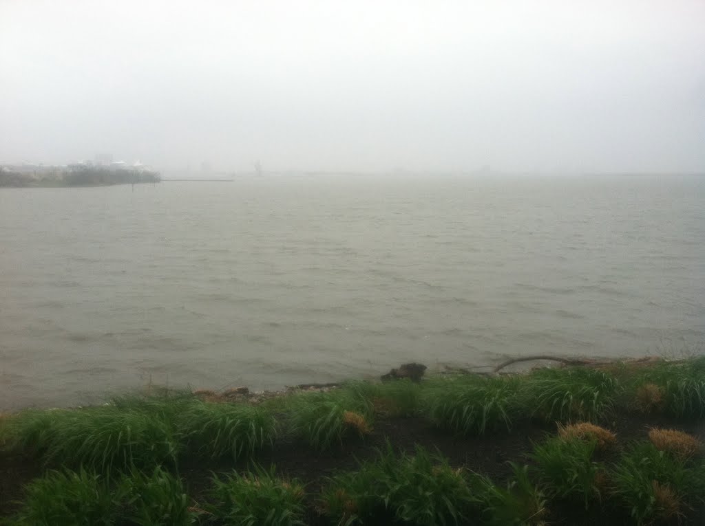 Baltimore harbor looking out from harbor hospital