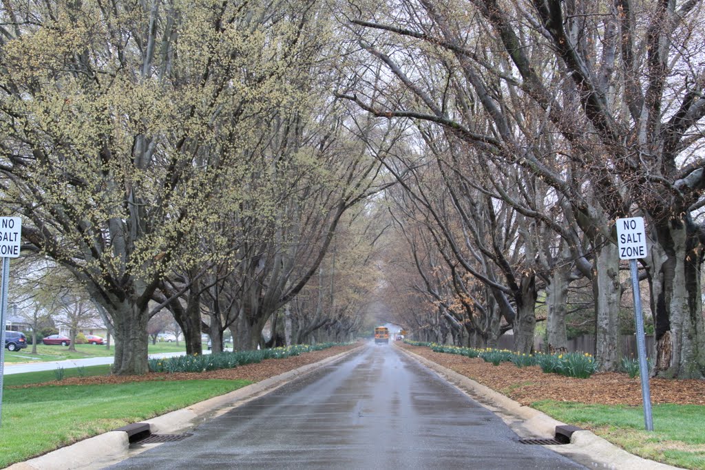 Bowie,Belair road