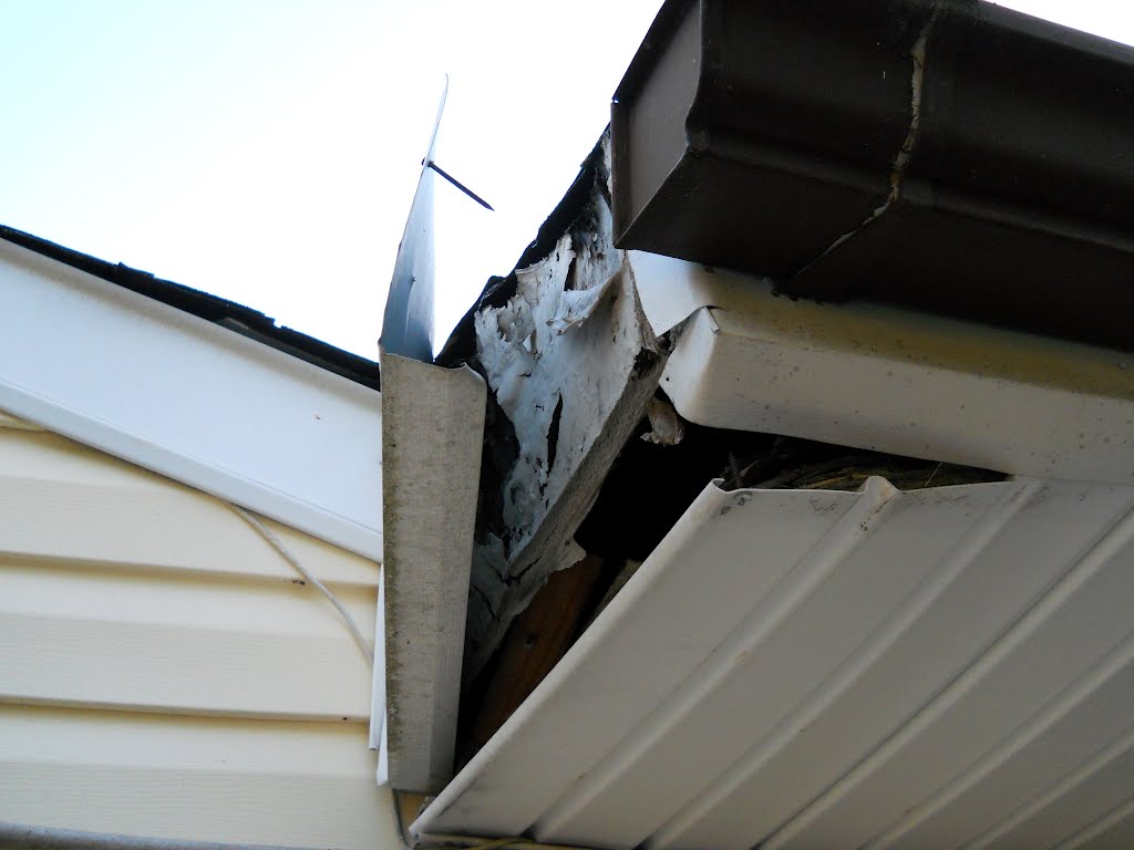 Home Inspection Maryland