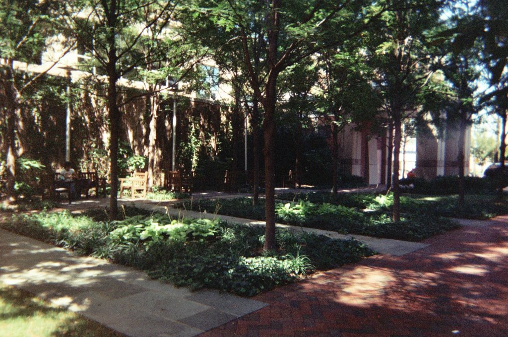 Urban Plaza - Bethesda