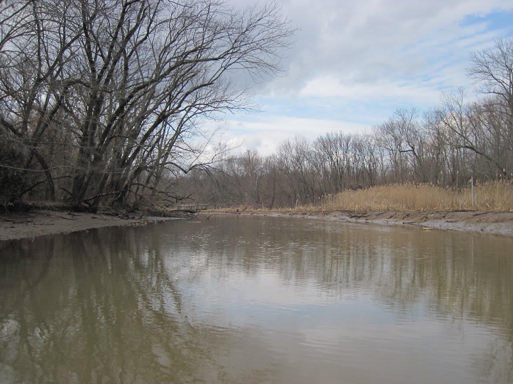 Watts creek during low tide