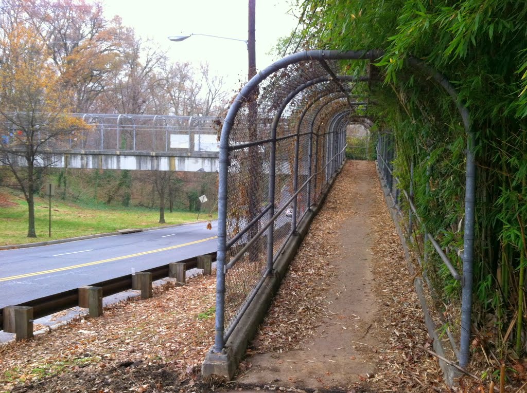 Glen Echo Trolley bridge, Palisades, Washington DC