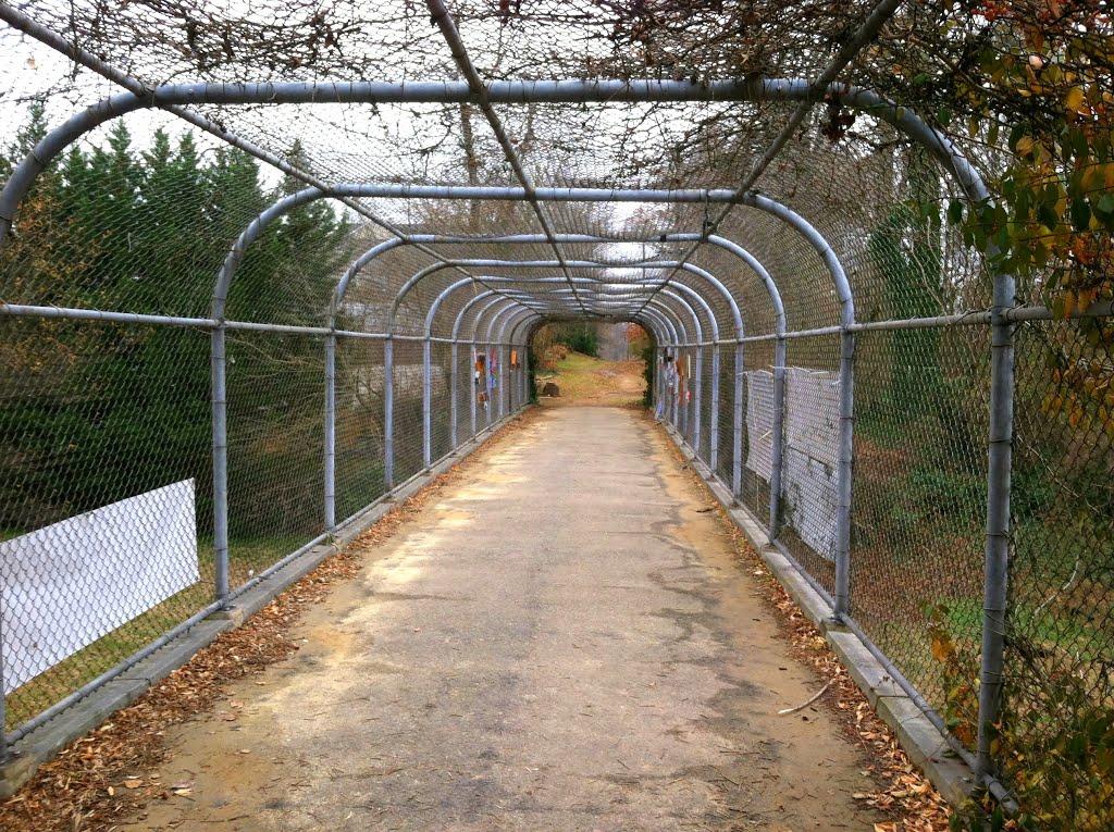 Glen Echo Trolley bridge, Palisades, Washington DC