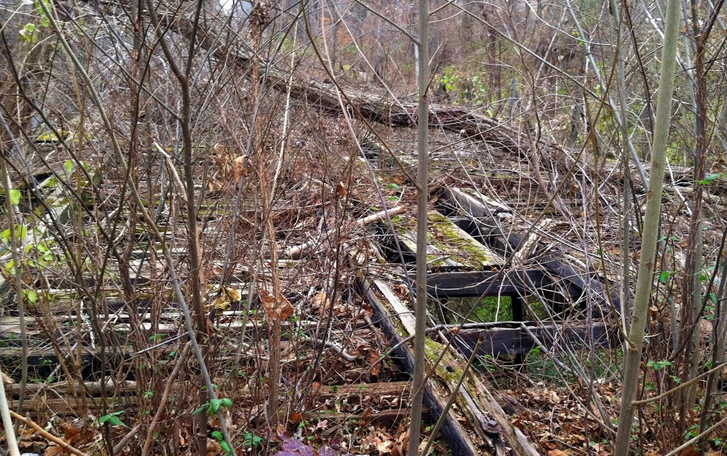 Glen Echo Trolley Trestle, between Clara Barton Pkwy & MacArthur Blvd, Bethesda MD