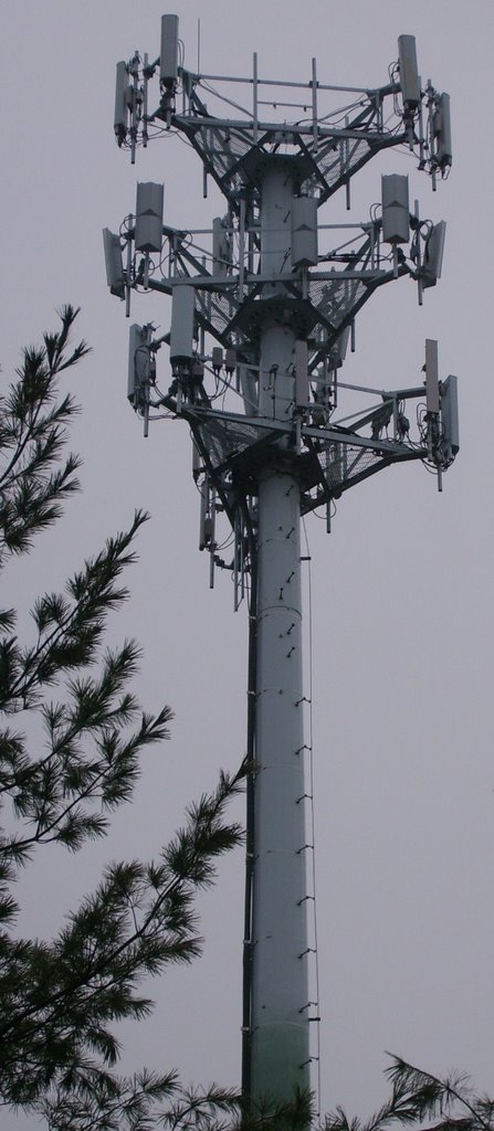 Verizon Wireless plus