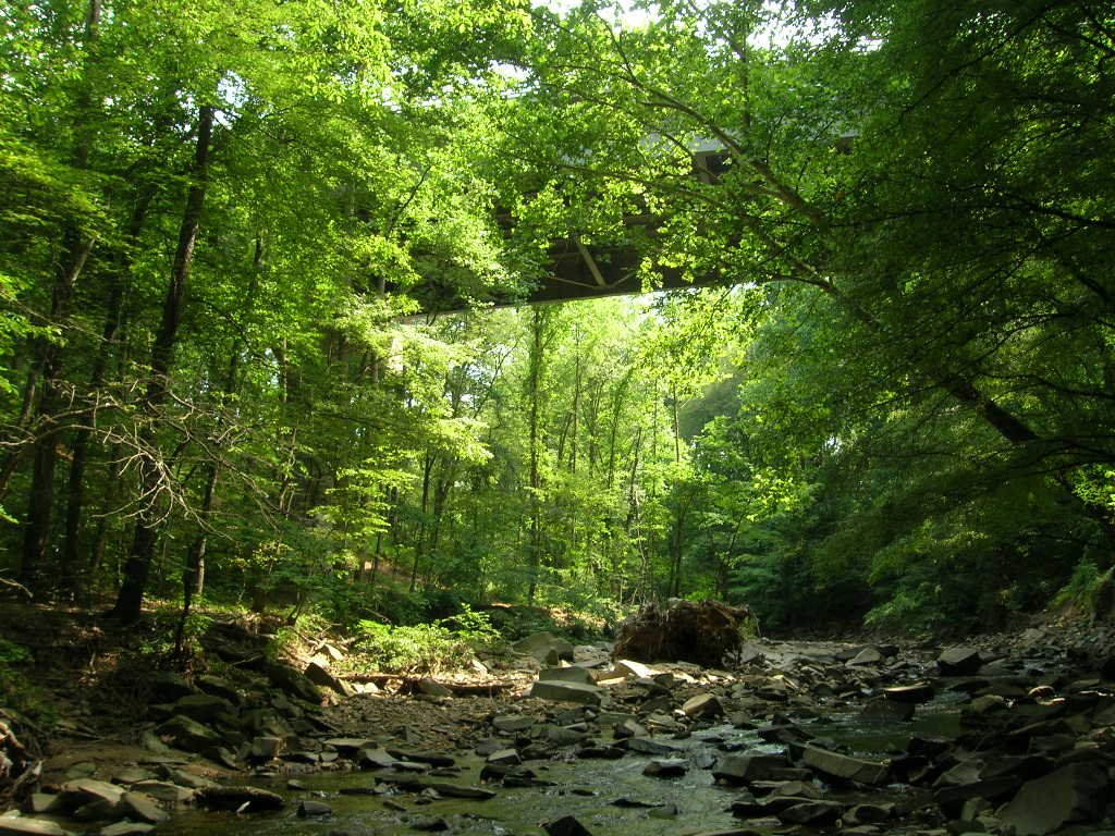 looking twords GW PKY from the creek