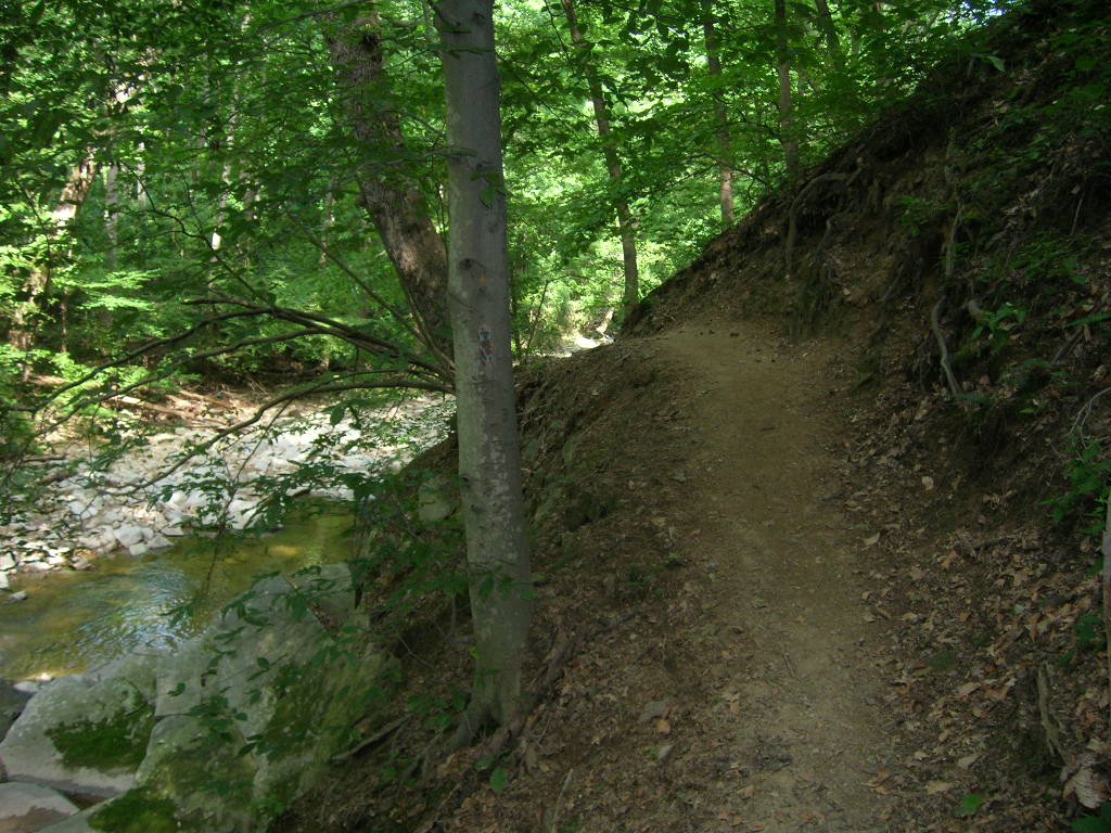 Trail to Chain Bridge rd.