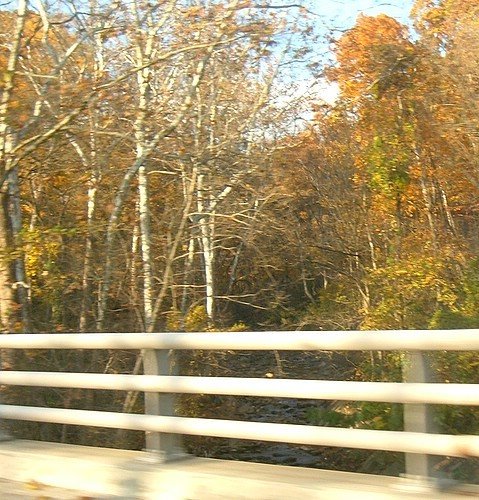 Creek crossing Clara Barton Parkway, Bethesda, Maryland, USA