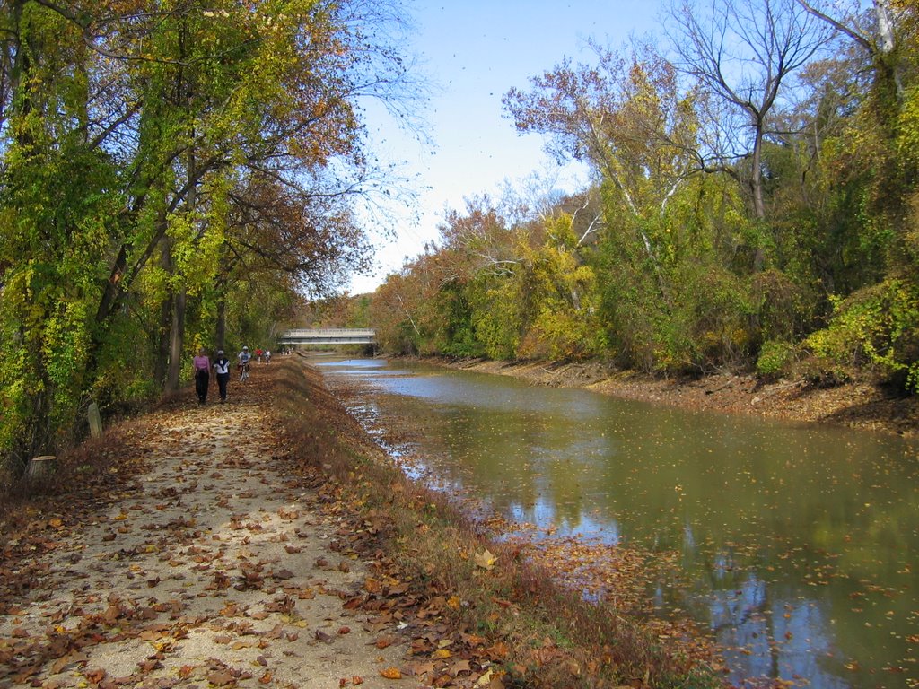 DC, C&O Canal, October 31, 2004