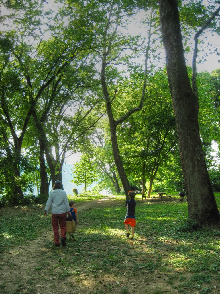trail to Sycamore Islands Dock