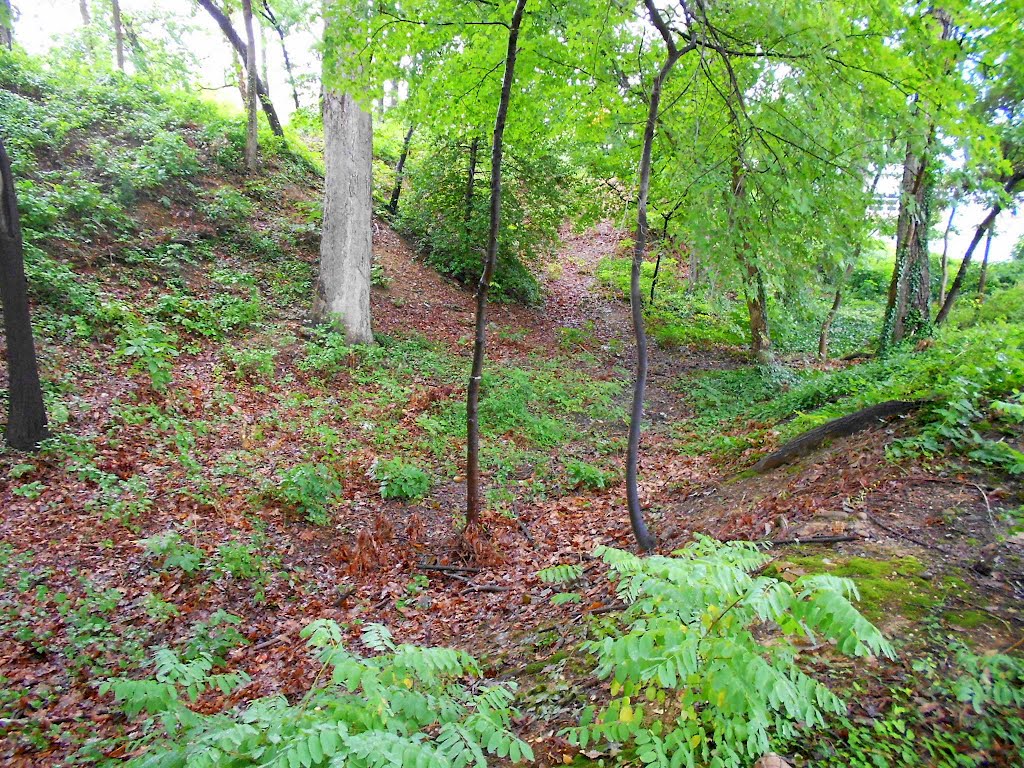 Fort Ethan Allen earthworks, Fort Ethan Allen Park 3829 North Stafford Street, Arlington, Virginia