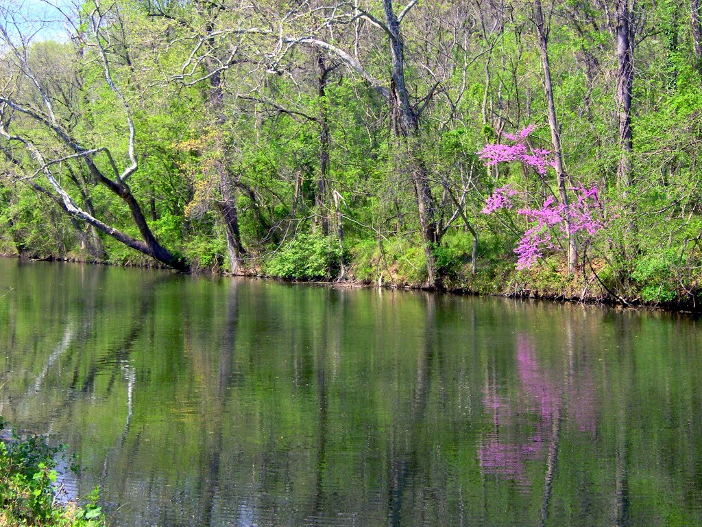 C&O Canal near Chain Bridge, Washington DC