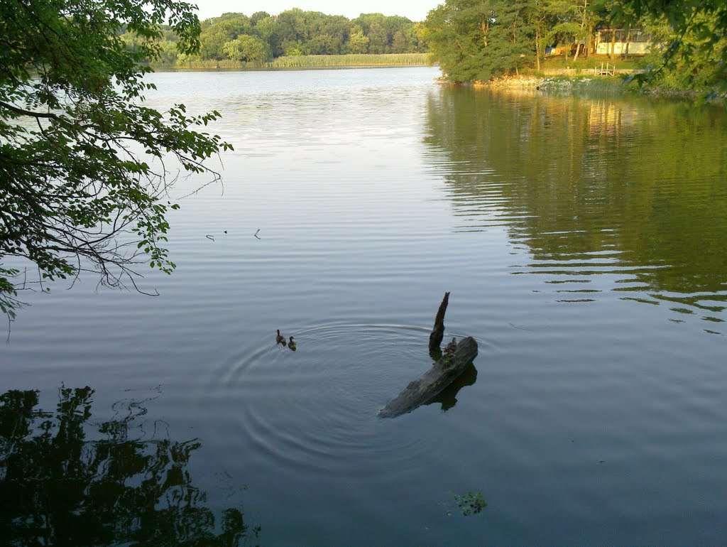 Duck Creek