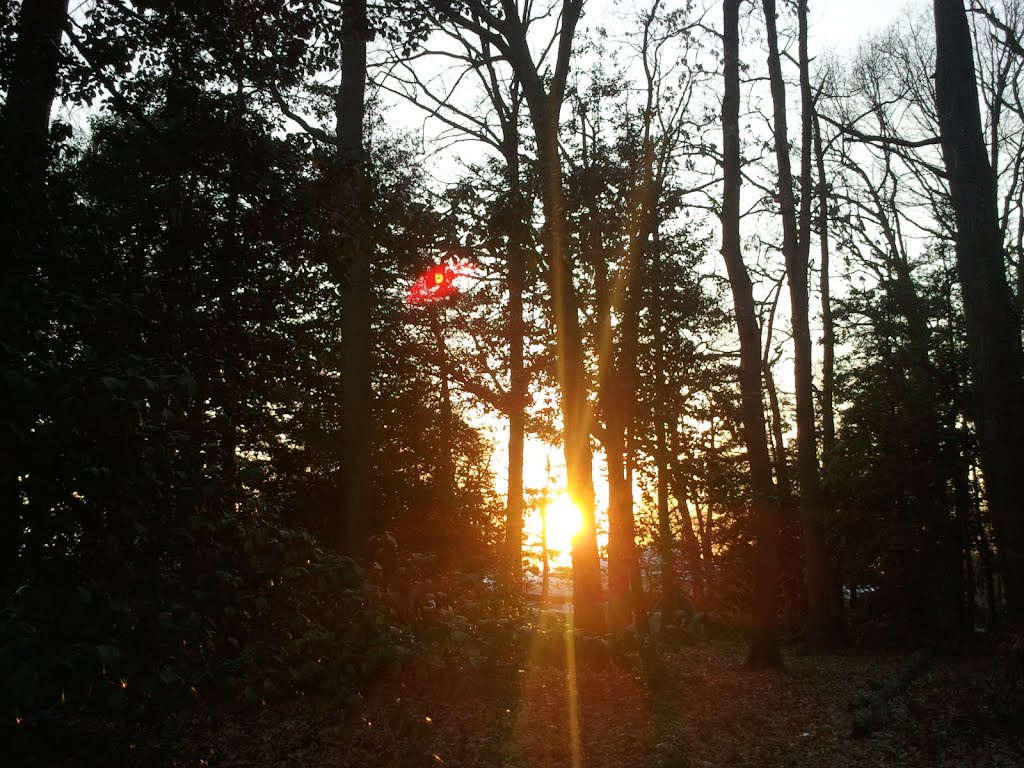 Sunset at Coxs Point