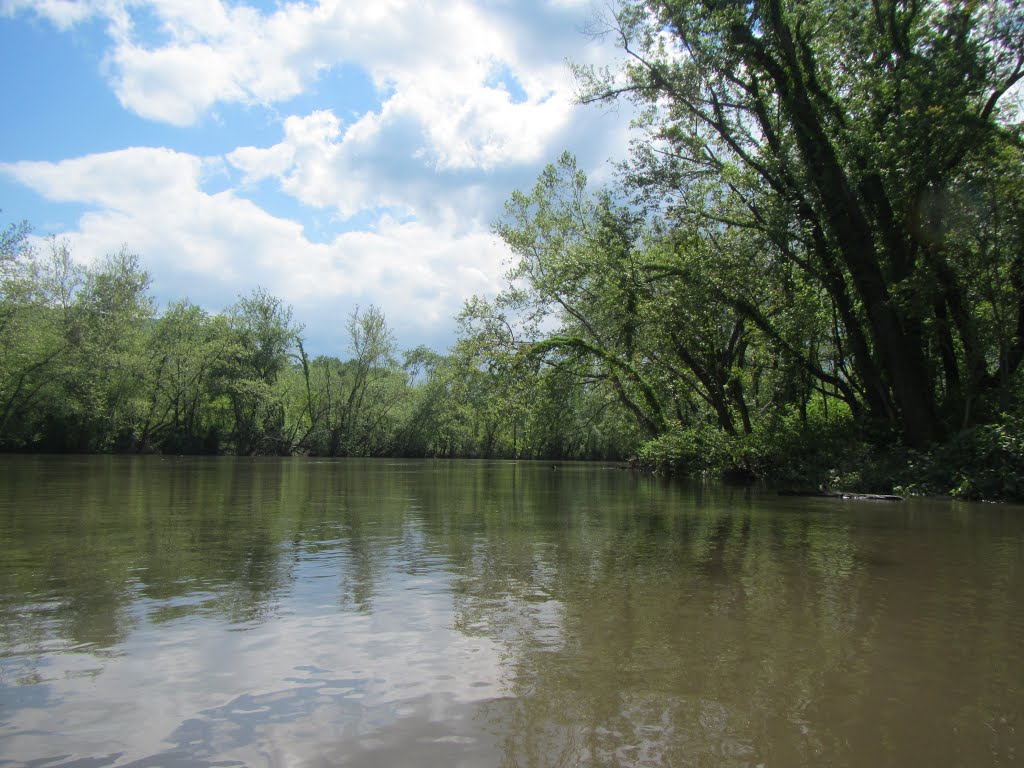 Sunny day on the north branch of the potomac