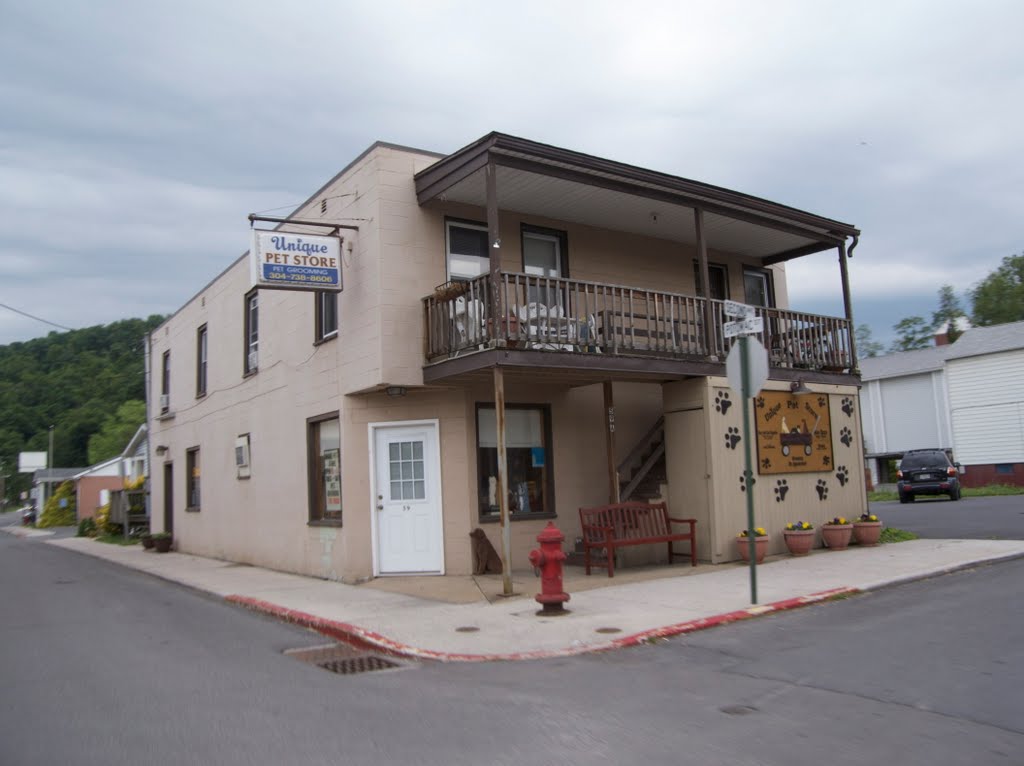 Unique Pet Store