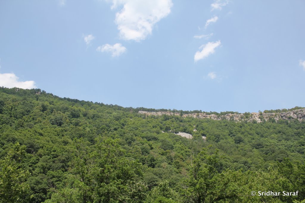 Allegheny Mountains, Maryland (USA) - June 2010