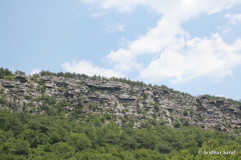 Allegheny Mountains, Maryland (USA) - June 2010
