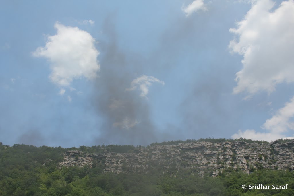 Allegheny Mountains, Maryland (USA) - June 2010