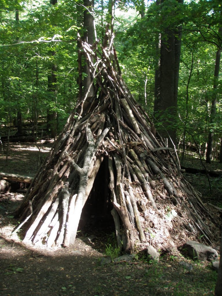Tipi