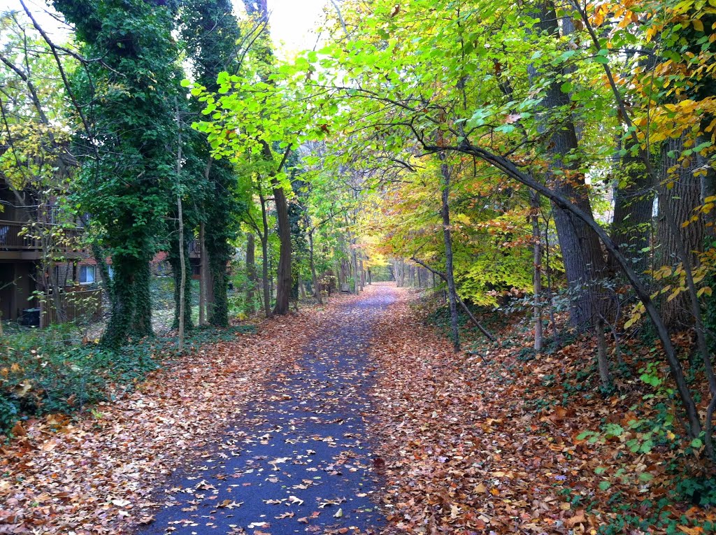 #8 Streetcar Path, Catonsville MD
