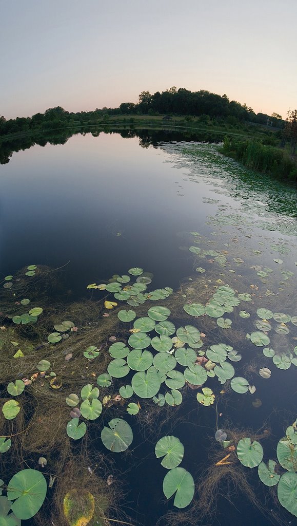 Lake Artemesia